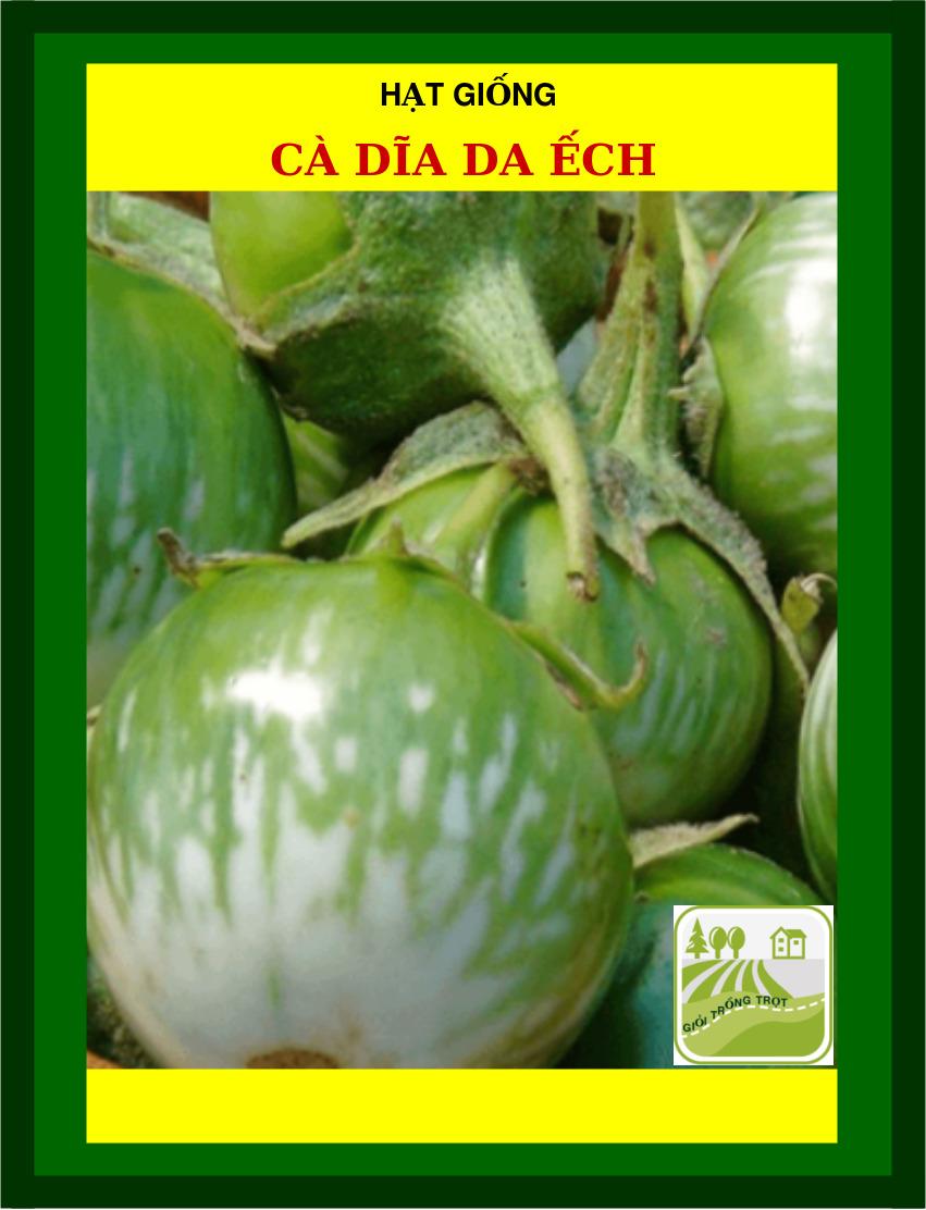 Hạt Giống Cà Dĩa Da Ếch - 1Gram