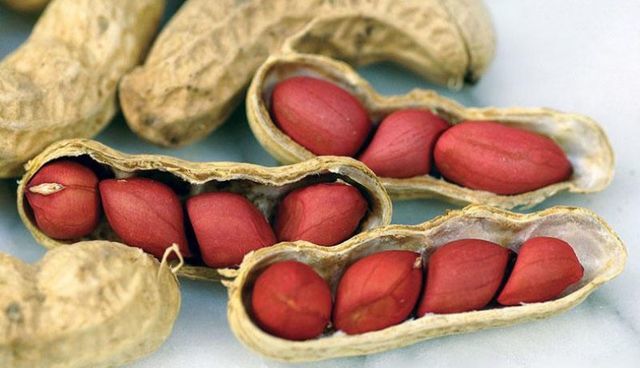 Lạc (đậu phộng) đỏ/ trắng chưa rang 500gram