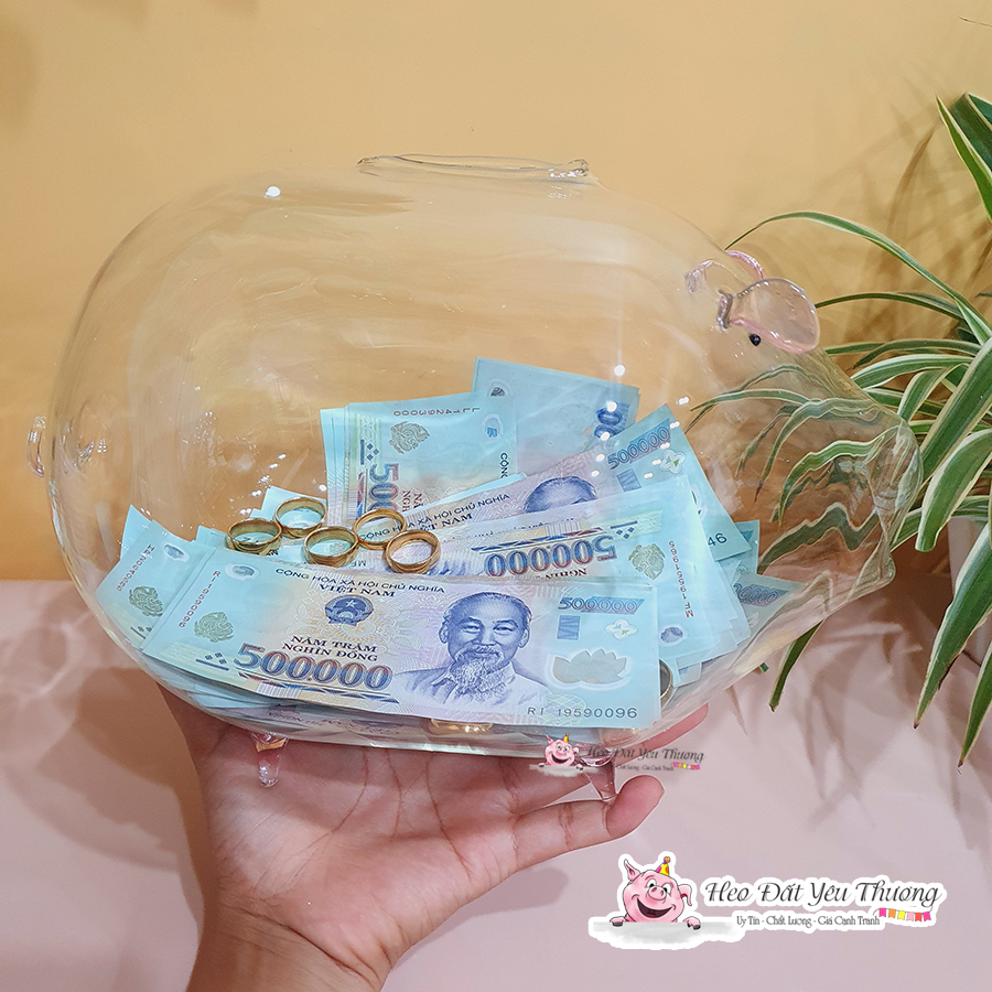 Lợn thủy tinh tiết kiệm size 2 và size 3