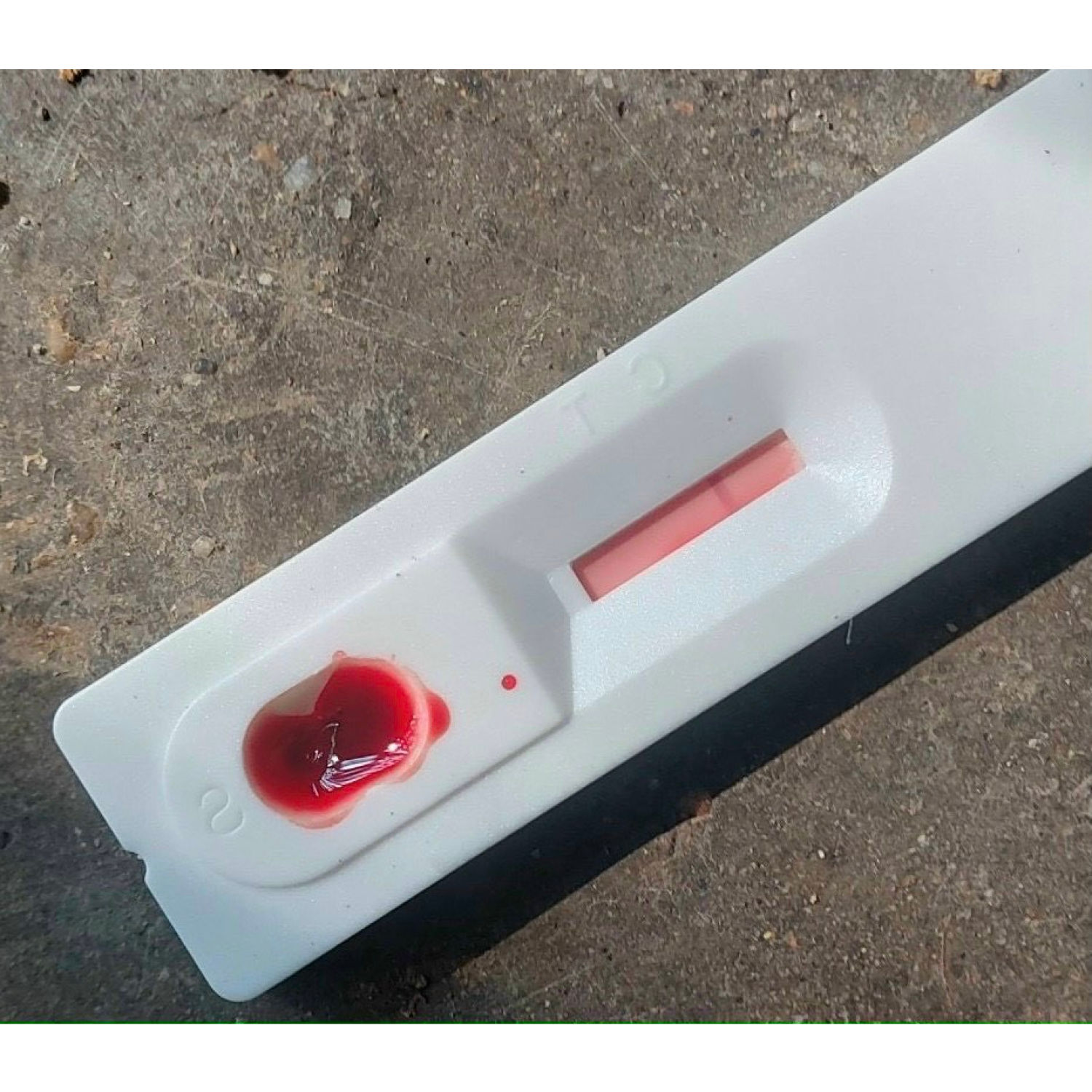 Que Test Nhanh Dịch Tả Heo Châu Phi (ASFV Ag Rapid Test Card)