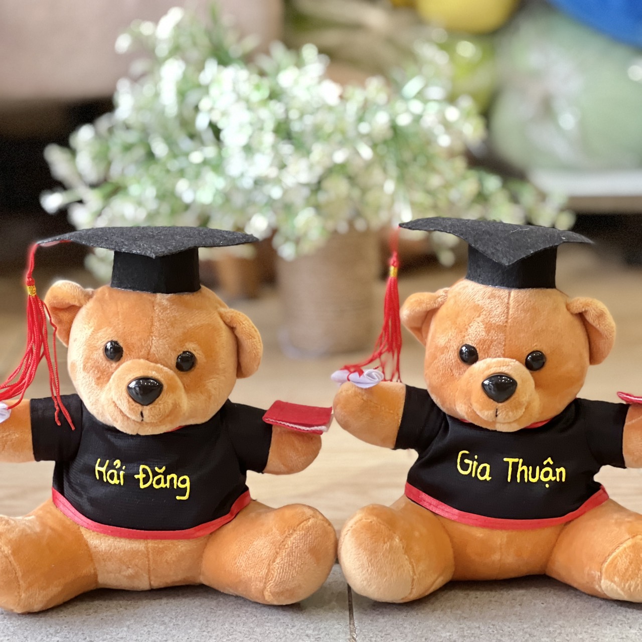 Gấu bông tốt nghiệp đáng yêu 20cm