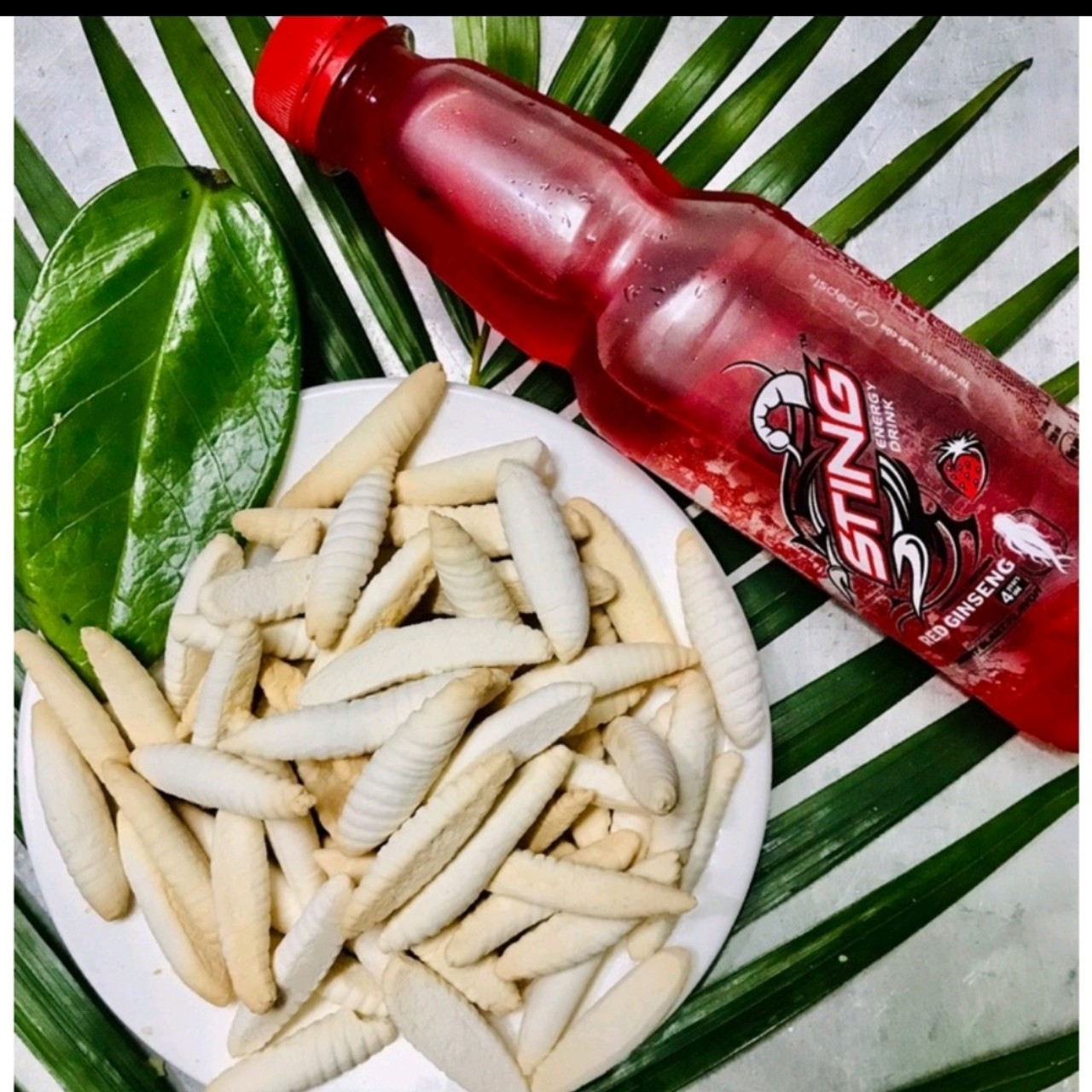 Bánh sùng sữa nhí