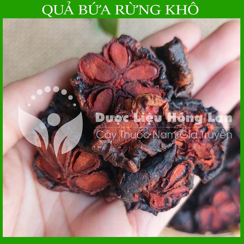 ✅ 500g quả bứa rừng khô