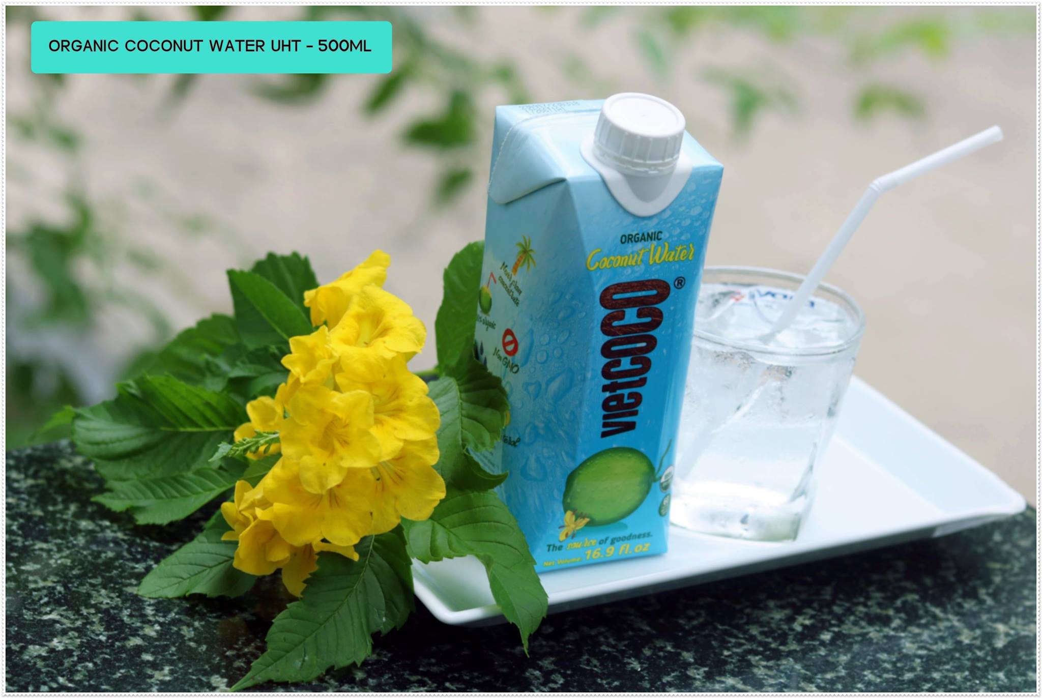 NƯỚC DỪA ĐÓNG HỘP VIETCOCO ORGANIC - 330ML
