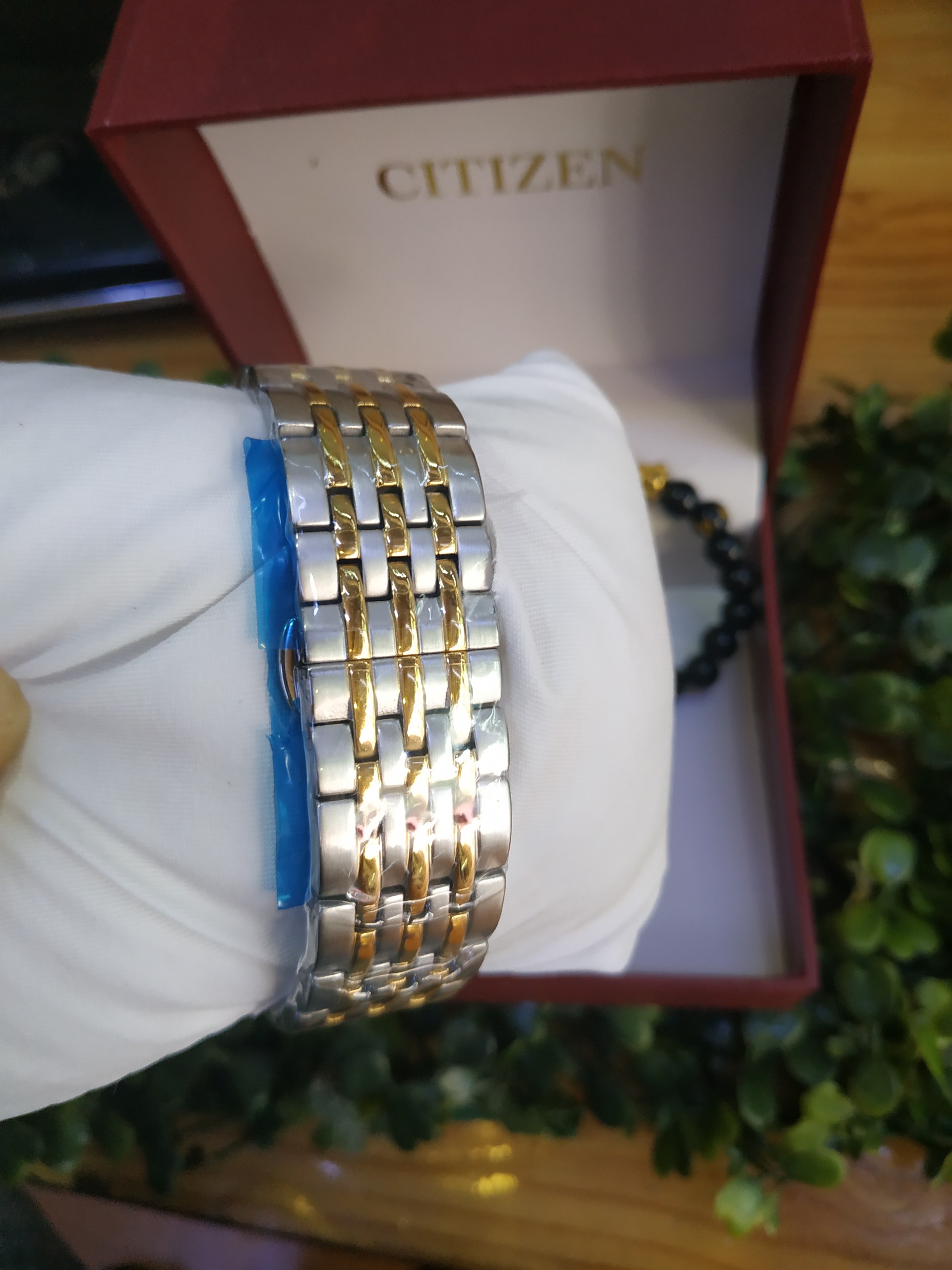 { ĐỒNG HỒ BẢO TÍN SHOP SỊN } Đồng Hồ CTZ Automatic Sapphire Sang Trọng + Full Box Thẻ Bảo Hành