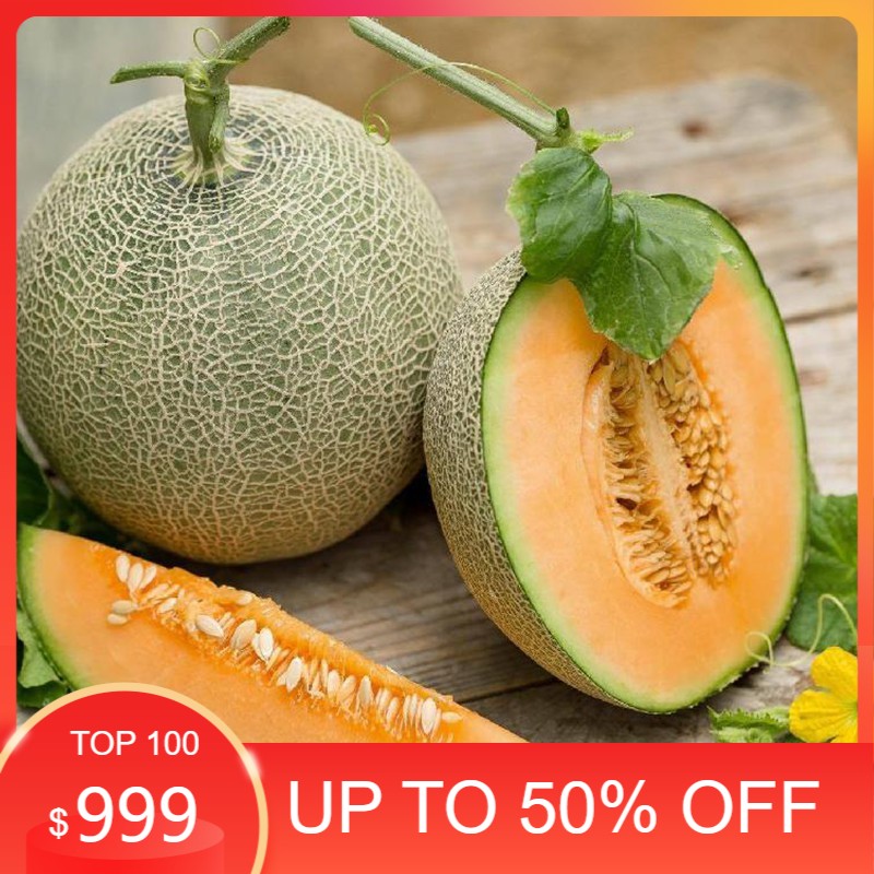 [Seeds] Hạt giống Dưa lưới F1, đóng gói 10 hạt