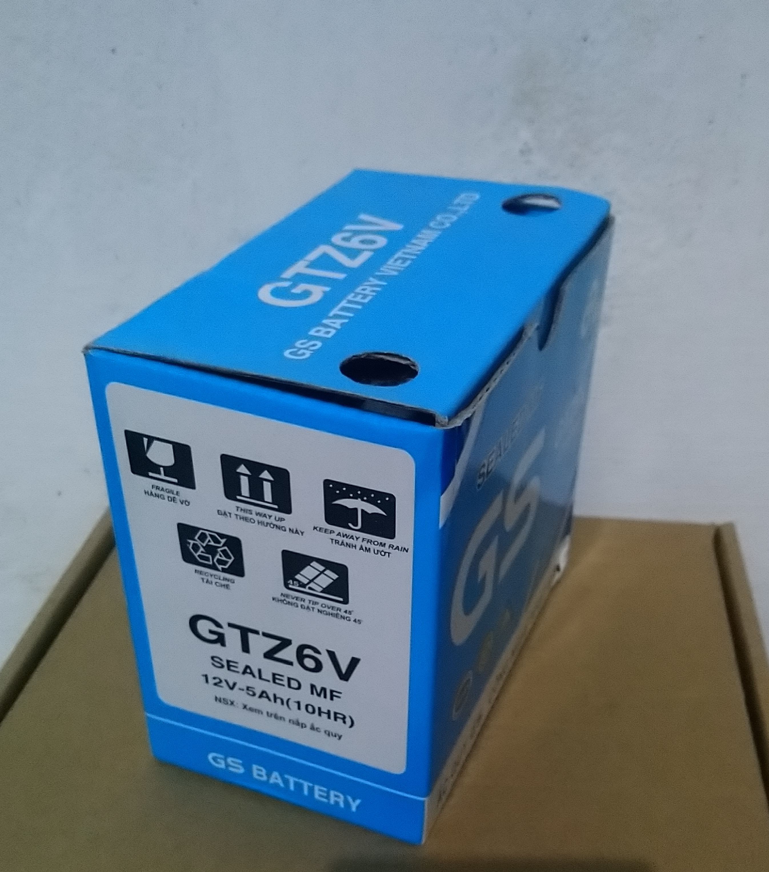 BÌNH ẮC QUY GS GTZ6V 12V-5A