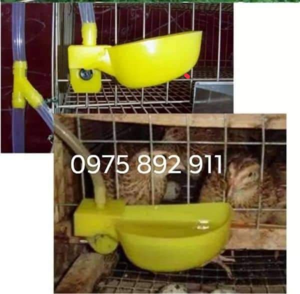 30 cái máng uống cho chim cút, bồ câu