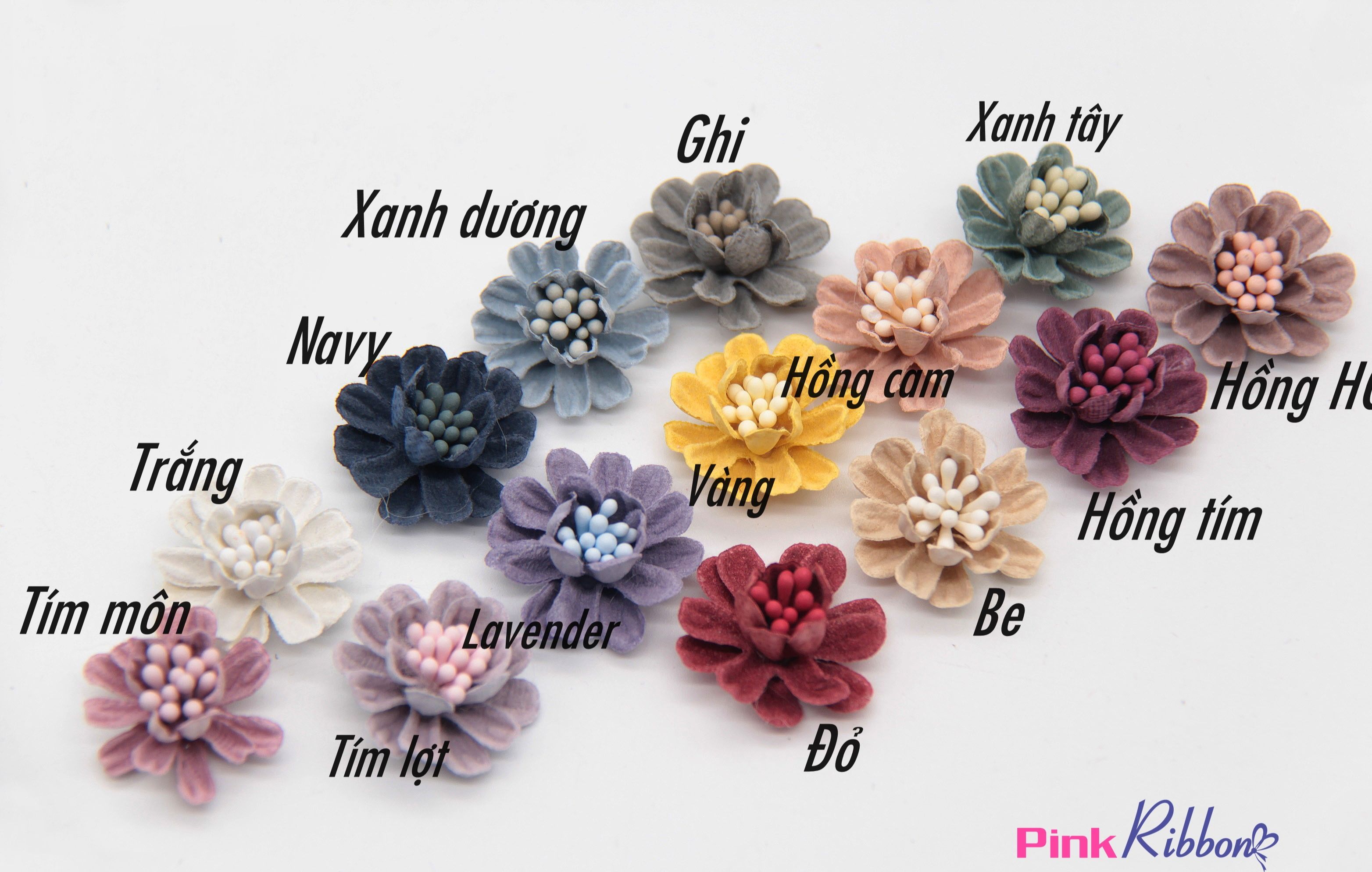 Hoa Cúc Cánh Cứng Size Bé