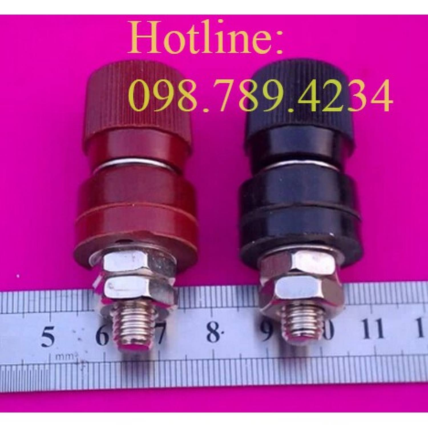Chân Cọc Bình Pin Vỏ Nhựa (1 cặp)