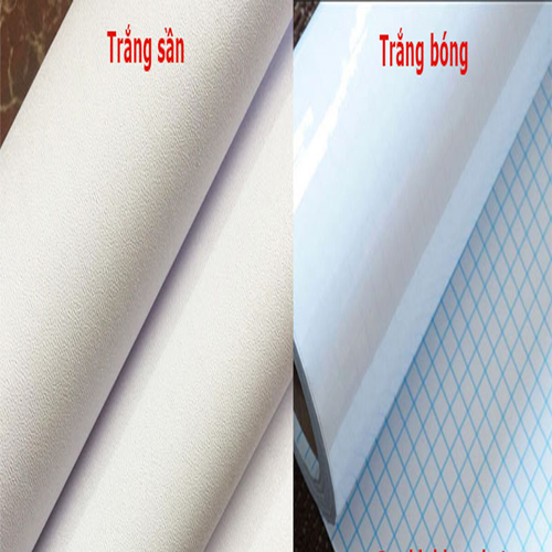[NHIỀU MẪU]Decal mờ - Decal hoa văn dán kính 1 mét vuông