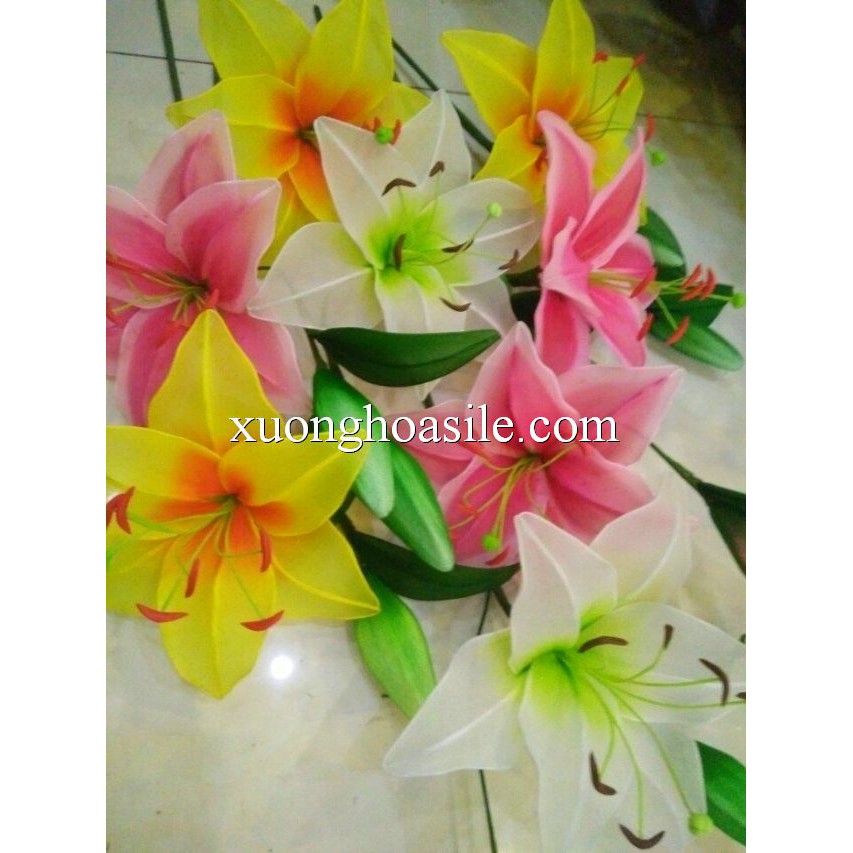 [HCM]NỤ XỐP HOA LY.