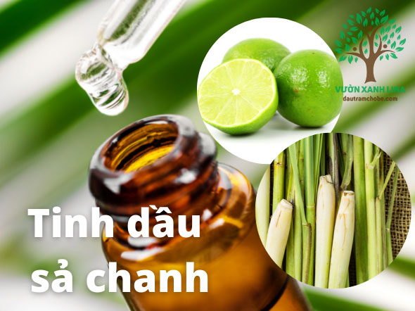 Tinh dầu Sả Chanh đậm đặc (50ml)