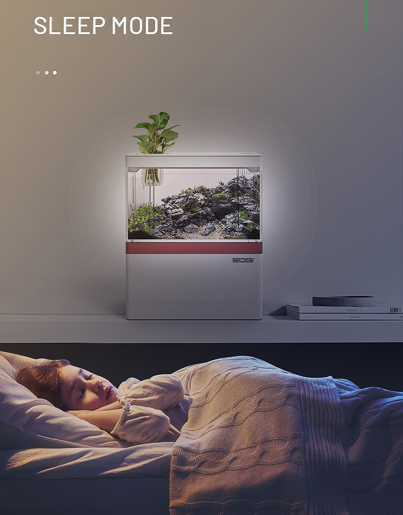Bể cá mini để bàn Bể cá thủy sinh mini 05
