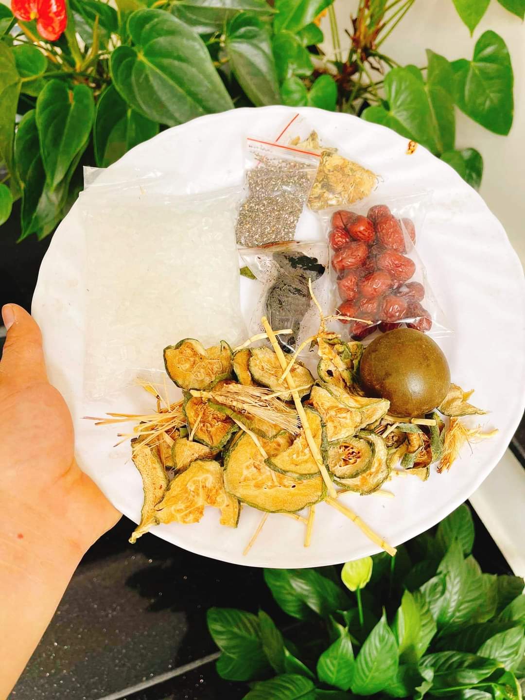 [MỚI] Sâm Bí Đao 🍃  Set Nấu Sâm Bí Đao 7 Vị 450gr