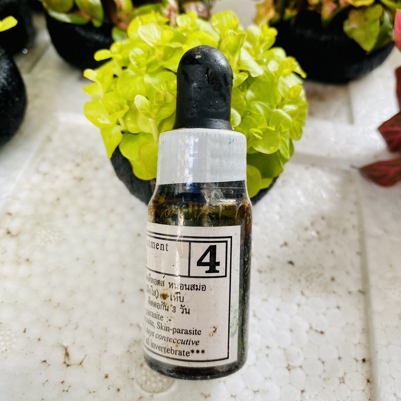 Bio knock số 1, 2, 3, 4 xuất xứ từ thái lan dành cho cá cảnh