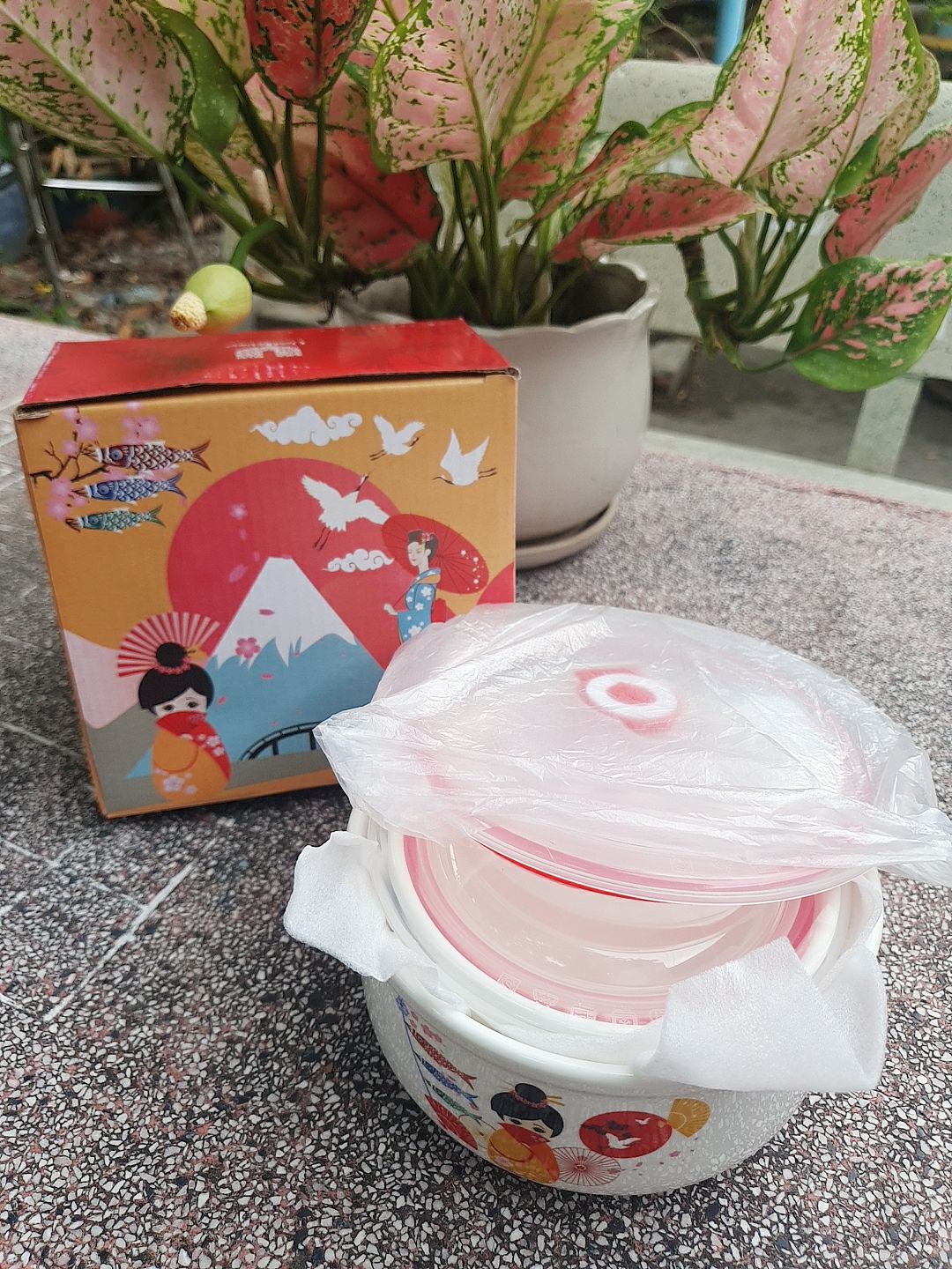 THỐ SỨ CÓ NẮP HÚT CHÂN KHÔNG. 2tho