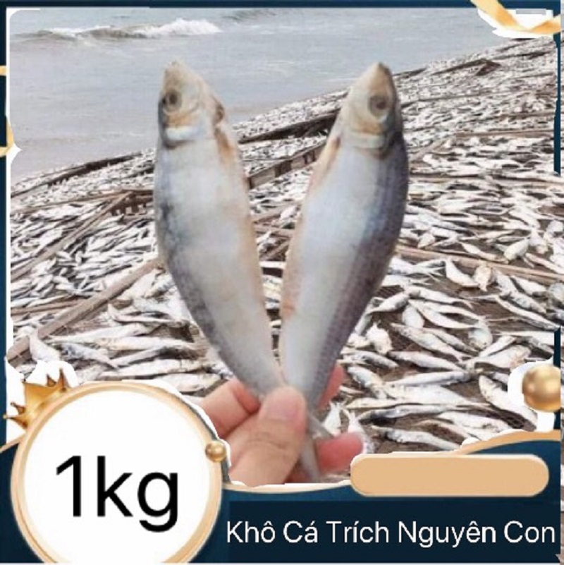Khô cá trích nguyên con - vựa khô tú sương - nướng than thơm phức
