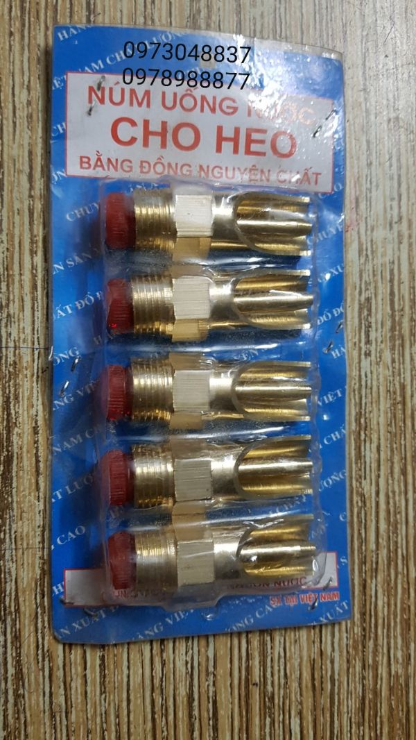 Combo 05 Vú uống nước cho heo bằng đồng
