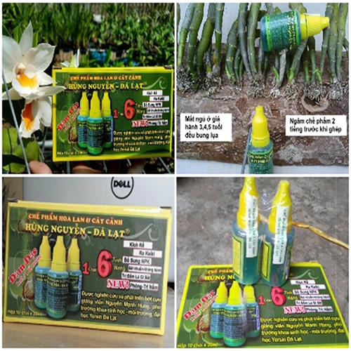 chế phẩm hoa lan và cây cảnh hùng nguyễn đà lạt