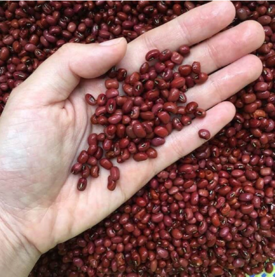 đậu đỏ 1kg