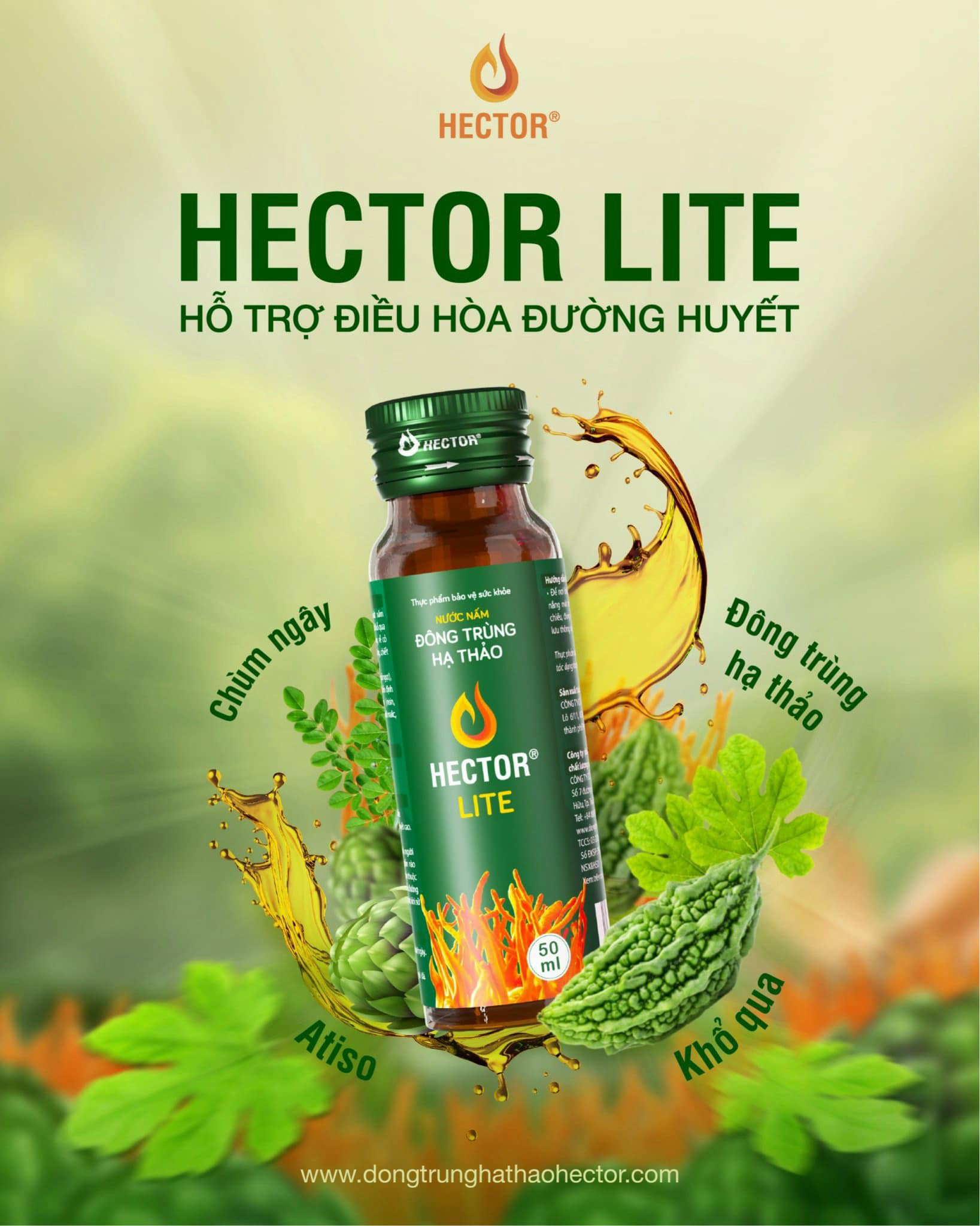 Nước Nấm Đông Trùng Hạ Thảo Hector Lite (Hộp 10 chai)