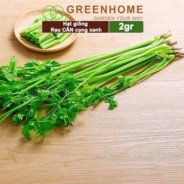 Hạt giống cần xanh pascal sen vàng gói 2gram