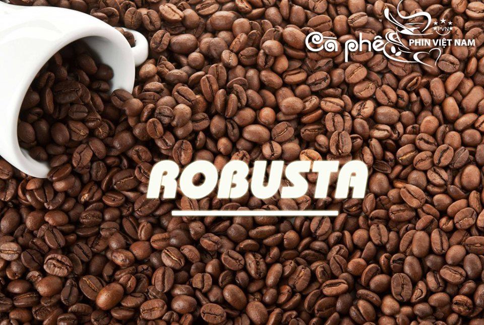[HCM] 1kg Cà Phê Robusta Hạt Rang Xay Nguyên Chất 100%