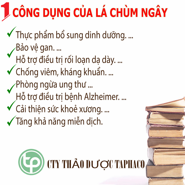 [100-Gram Small Bag] High Quality Clean Dried Moringa Leaves - Tan Phat