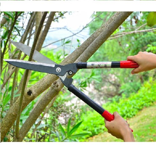 kéo cắt tỉa hàng rào, cây cảnh