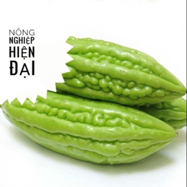 HẠT GIỐNG KHỔ QUA (MƯỚP ĐẮNG) – DỄ TRỒNG, NHIỀU TRÁI, GIÀU DINH DƯỠNG