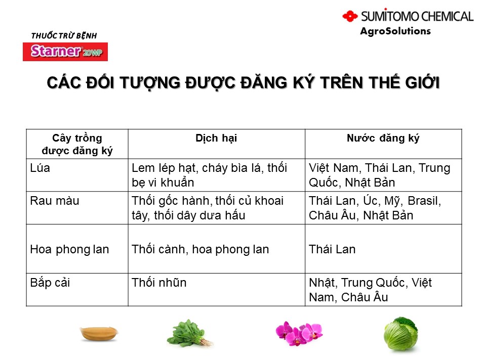 Thuốc trừ nấm khuẩn Starner 20WP (Gói 100g) | Đẳng cấp diệt khuẩn