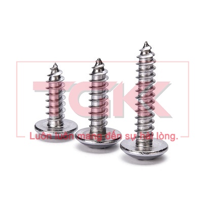 Vít bắt gỗ inox 201 chỏm cầu to M5 (Túi 10)