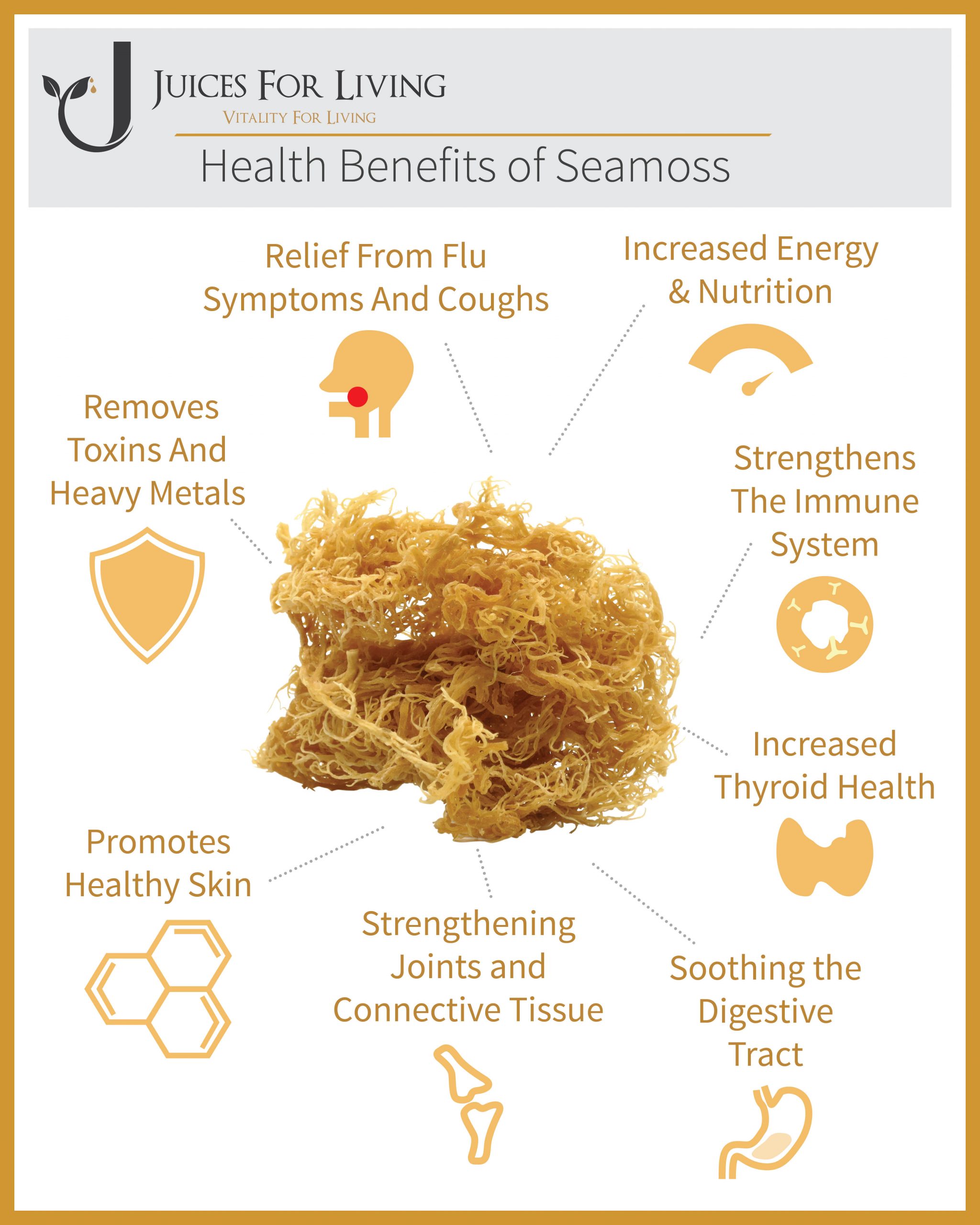 Rong biển Sea Moss (rong sụn, rong câu) Markus 453g