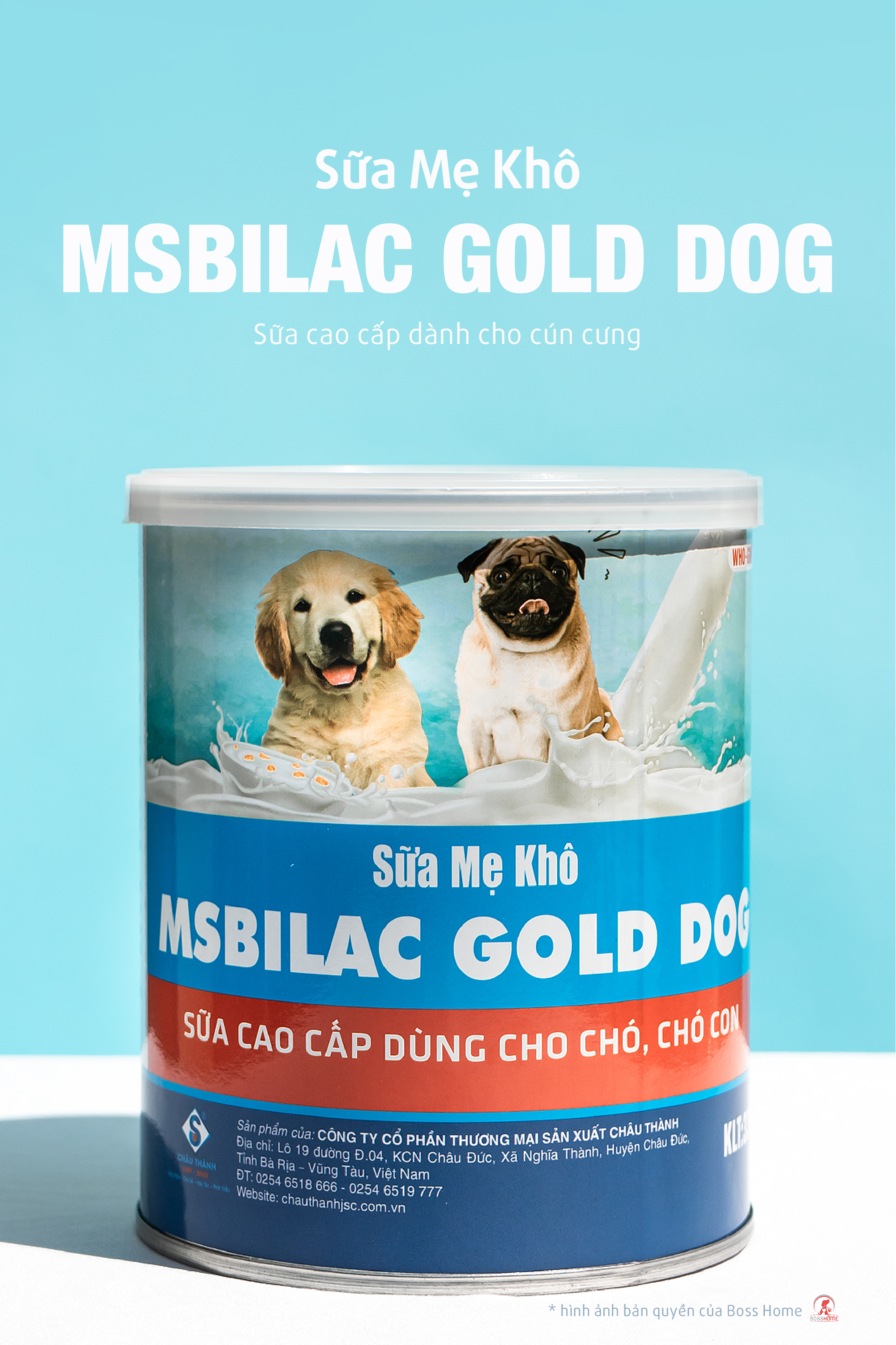 Sữa cho chó cao cấp Msbilac Gold Dog 330g