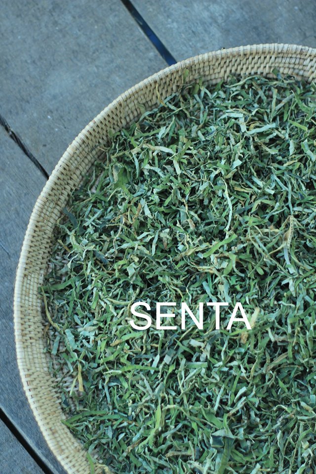 ( quà tặng) 100g trà lá sen