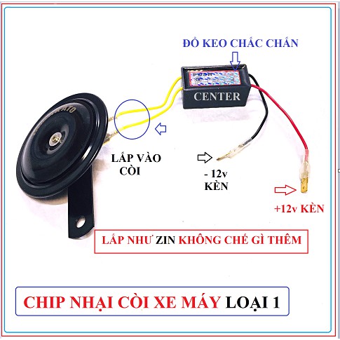 Chip nhại còi Loại 1