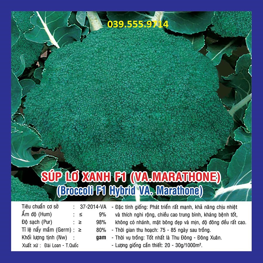 Hạt giống Súp lơ xanh F1 (VA.Marathone) – 3.300 Hạt