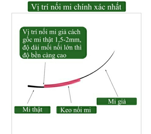 Lông mi giả dạng chùm Nesura Hàn Quốc