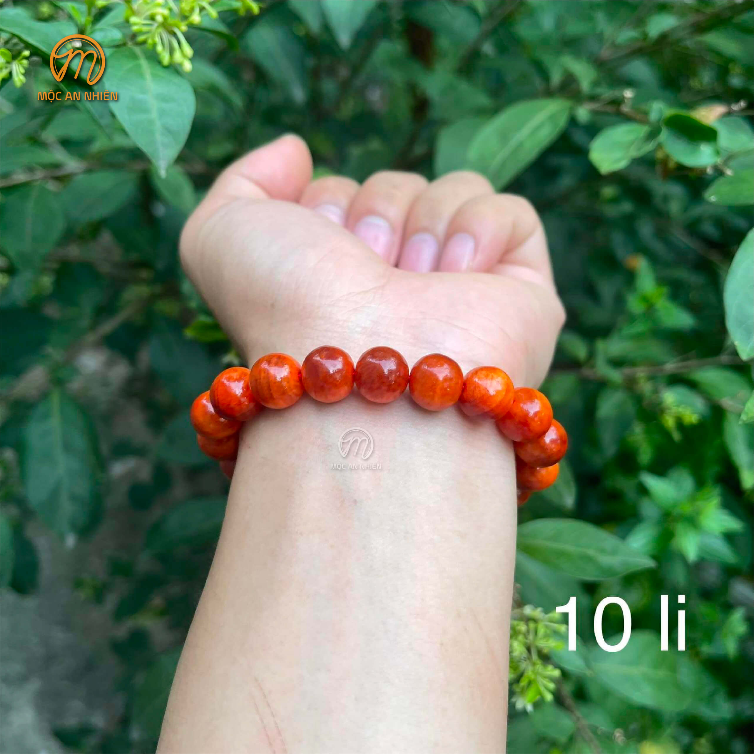 Beautiful Hematology blood wood bracelet, dragon blood wood bracelet