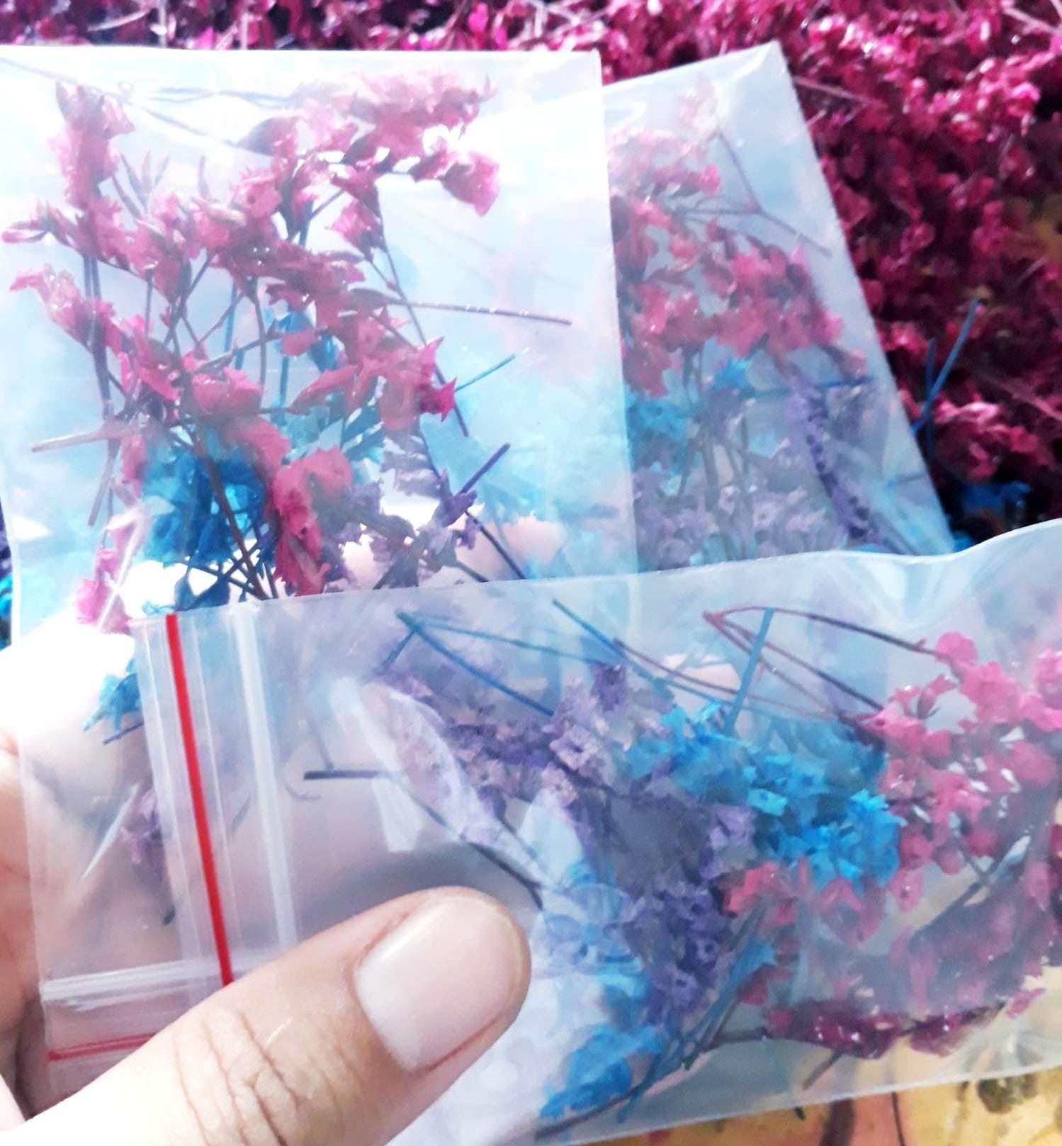 [HCM]Bộ 3 bịch hoa sao khô mini trang trí móng resin