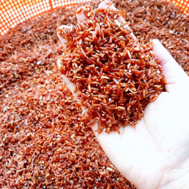 [Giá Xưởng] 1KG bột mè đen gạo lức huyết rồng