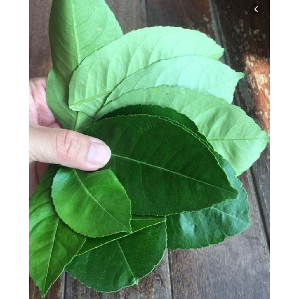 Lá Bưởi tươi (1kg)