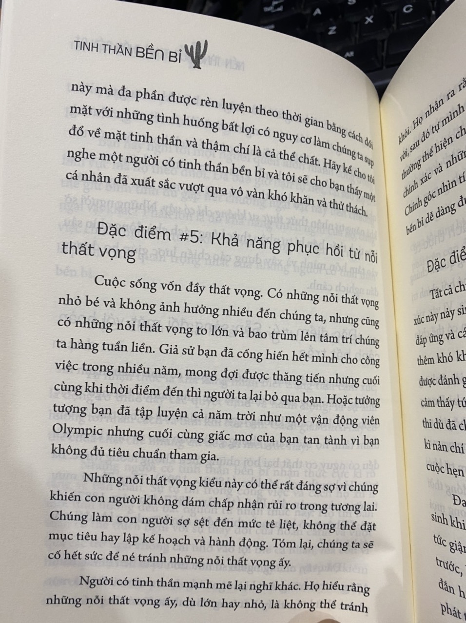 Sách - Tinh thần bền bỉ ( Minh Long )