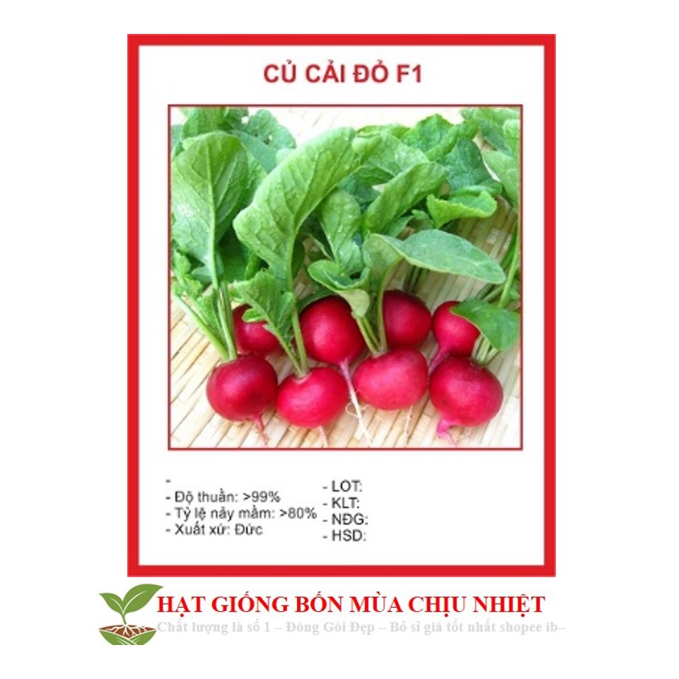 MJ32C GÓI 30 hạt CỦ CẢI ĐỎ MINI
