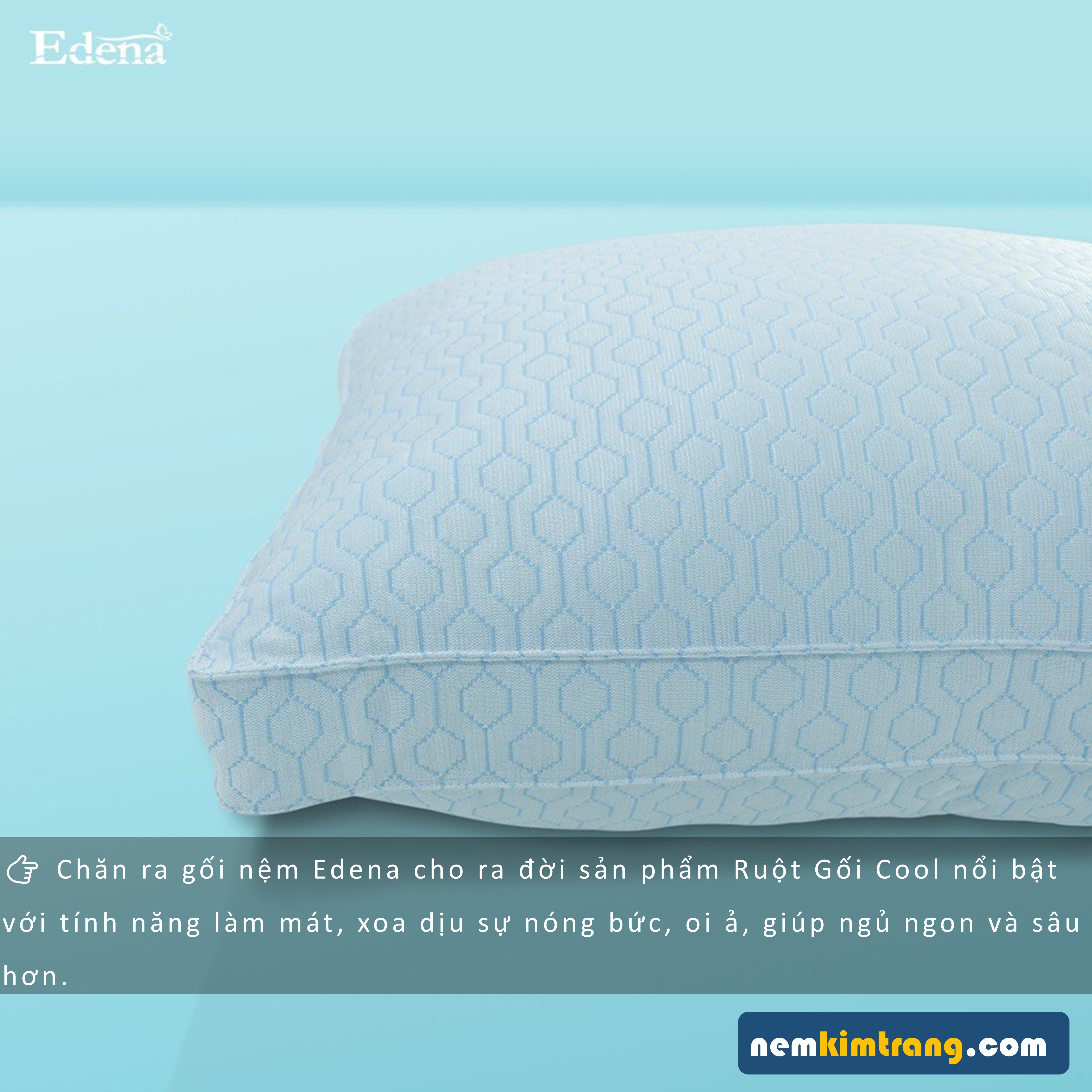 Ruột gối cool Edena - CHÍNH HÃNG, CAO CẤP