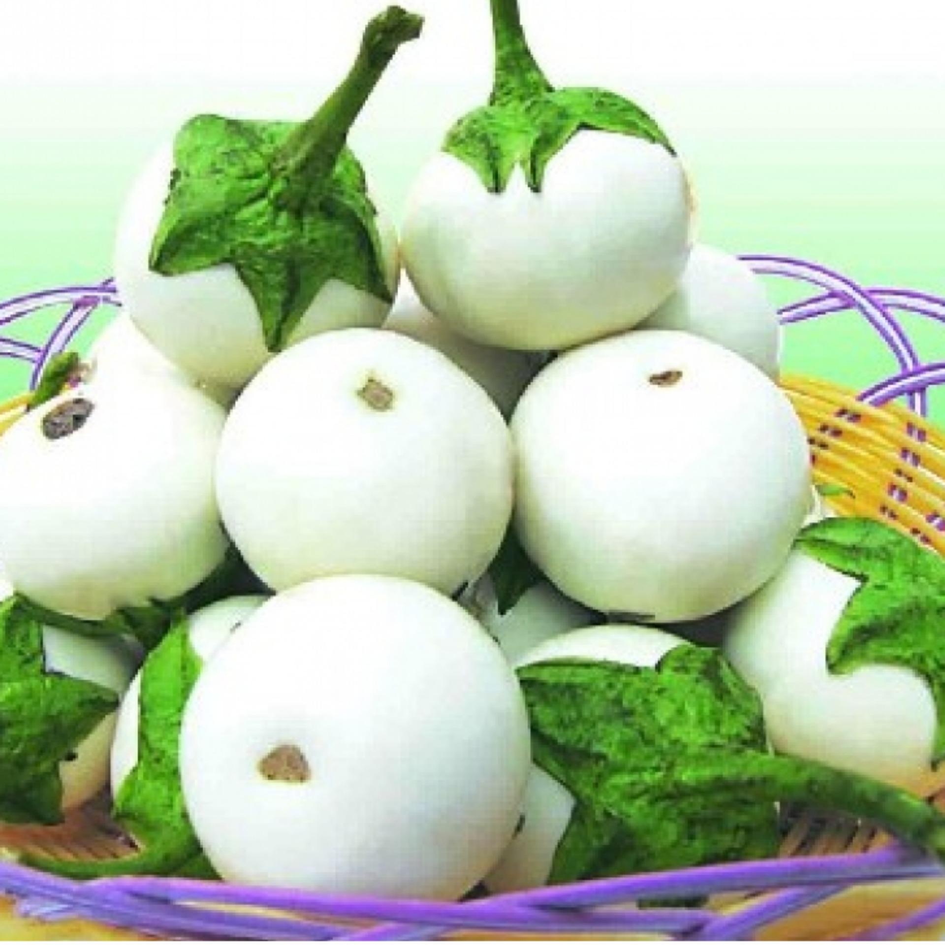 0.5g Hạt giống Cà pháo (tặng Kích nẩy mầm, Hướng dẫn ươm)