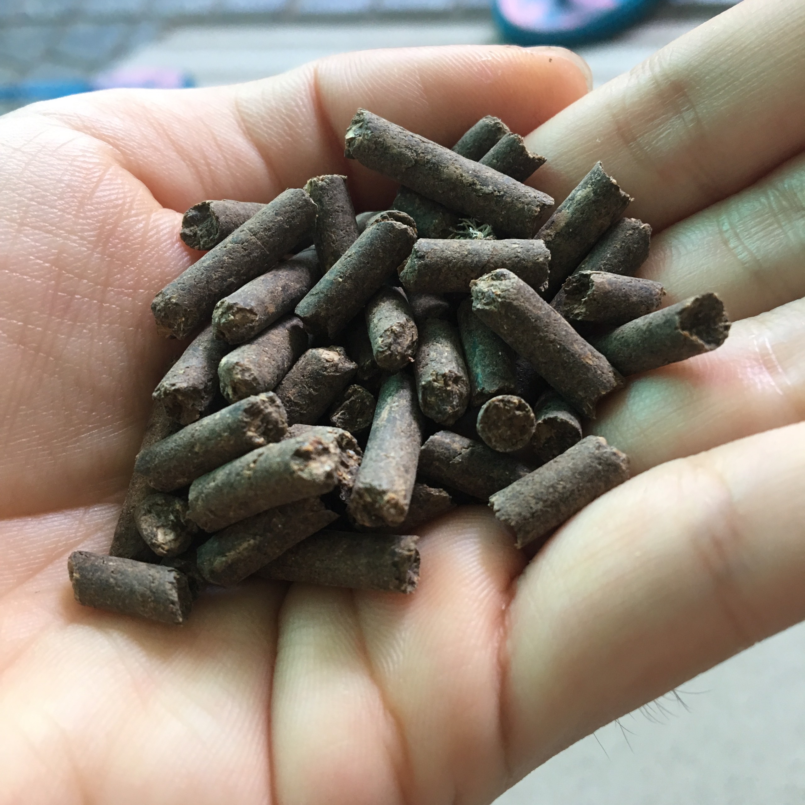 PHÂN BÓN HỮU CƠ CHO HOA HỒNG 1KG