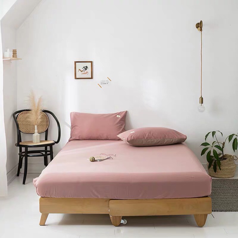 Sét ga gối cotton Tici phong cách hàn Quốc ( ga và 2 vỏ gối Tici )