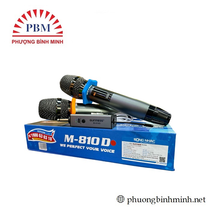 Micro karaOke GUINNESS M-810D
